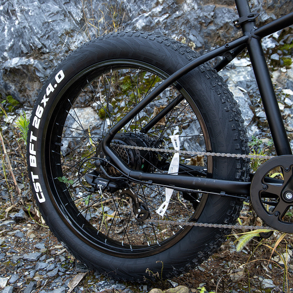 Professional Electric Bike For Adults, 26 X 4.0 Inches Fat Tire Electric Mountain Bicycle, 1000W Motor 48V 15Ah Ebike For Trail Riding, Excursion And Commute, UL And GCC Certified - buybestdealz.com